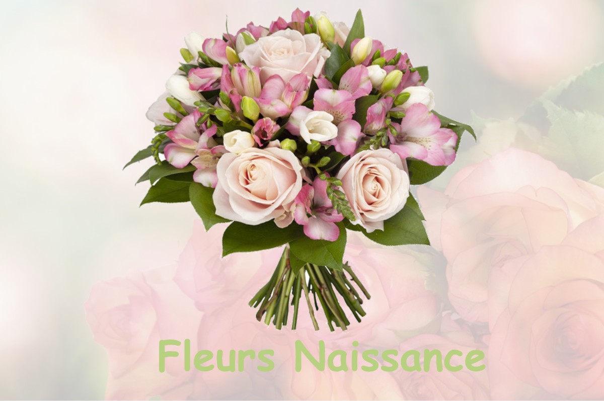 fleurs naissance CHATEAUNEUF-LES-MARTIGUES